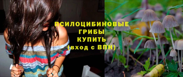 не бодяженный Алзамай